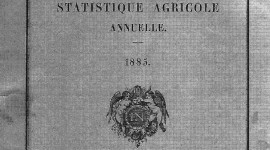 statistique-agricole